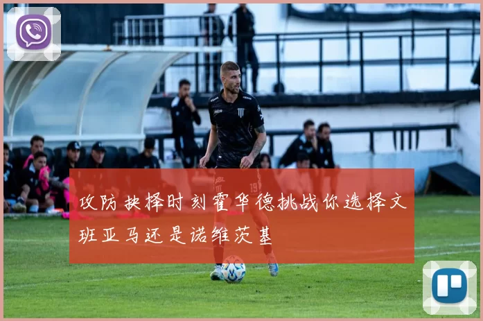 攻防抉择时刻霍华德挑战你选择文班亚马还是诺维茨基