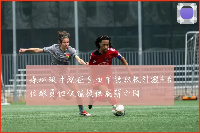 森林狼计划在自由市场积极引援4号位球员但仅能提供底薪合同