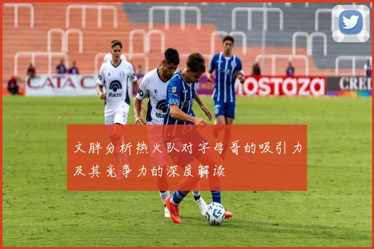 文胖分析热火队对字母哥的吸引力及其竞争力的深度解读