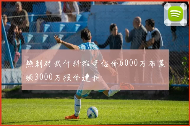热刺对武什科维奇估价6000万布莱顿3000万报价遭拒